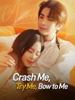 Crash Me, Try Me, Bow to Me