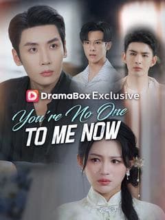 You're No One to Me Now (DUBBED)