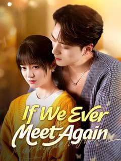 If We Ever Meet Again