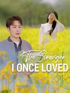 The Stranger I Once Loved